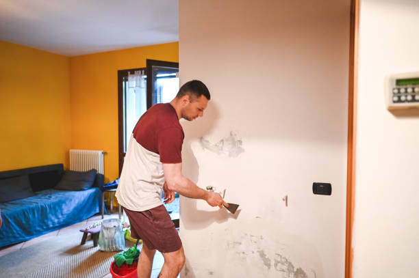 Best Best Mold Removal Companies  in Burke, VA